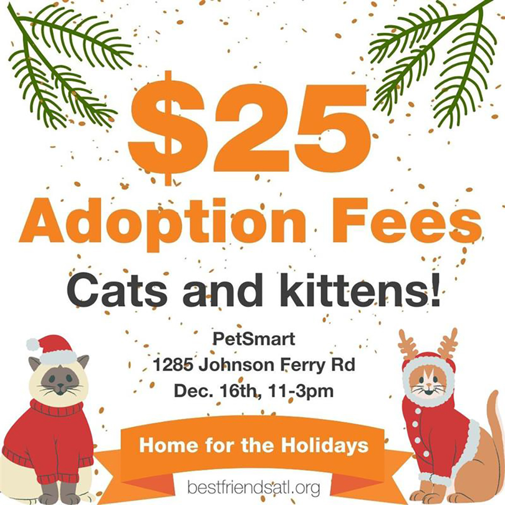 959dd386 E0cf 4b3d 8809 02b6df277d9d