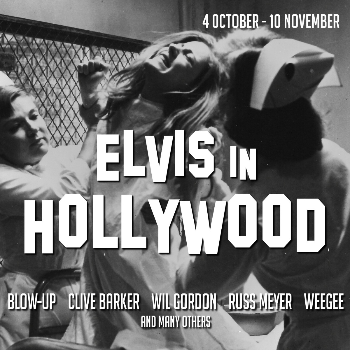 Elvisinhwyd