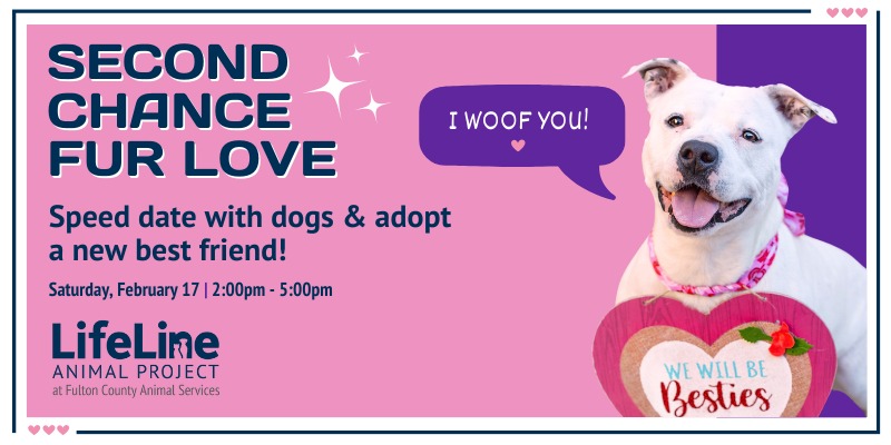 Speed Dating (800 X 400 Px)