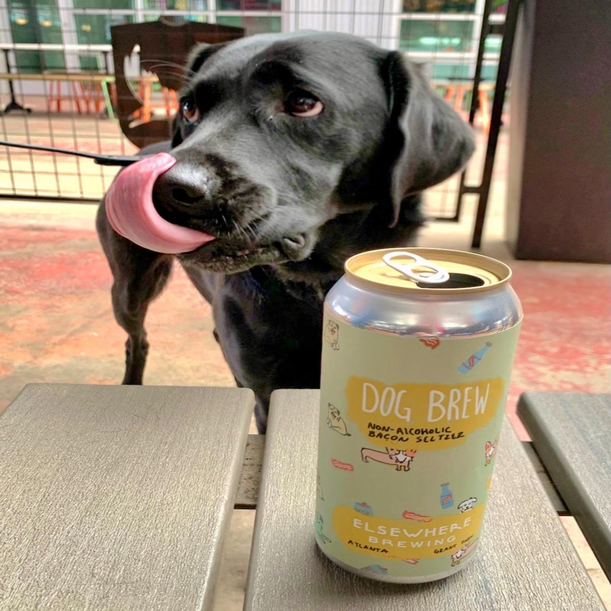 2B BiteLines Doggie Food Crawl