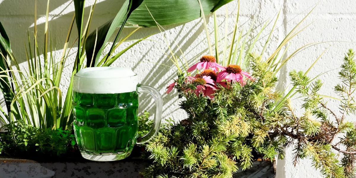 St Patricks Day At Elsewhere Brewing