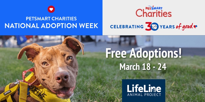 Petsmart adoption best sale weekend 2019