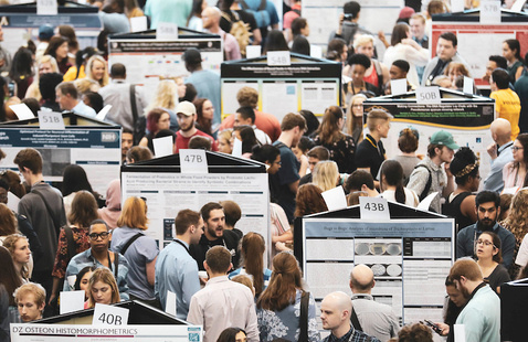 C2397b59b74cb570233782d6d3ce3b16f640c334