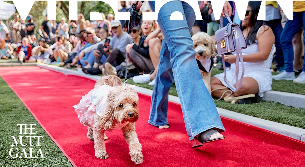 Creative Loafing Mutt Gala Cal Submit