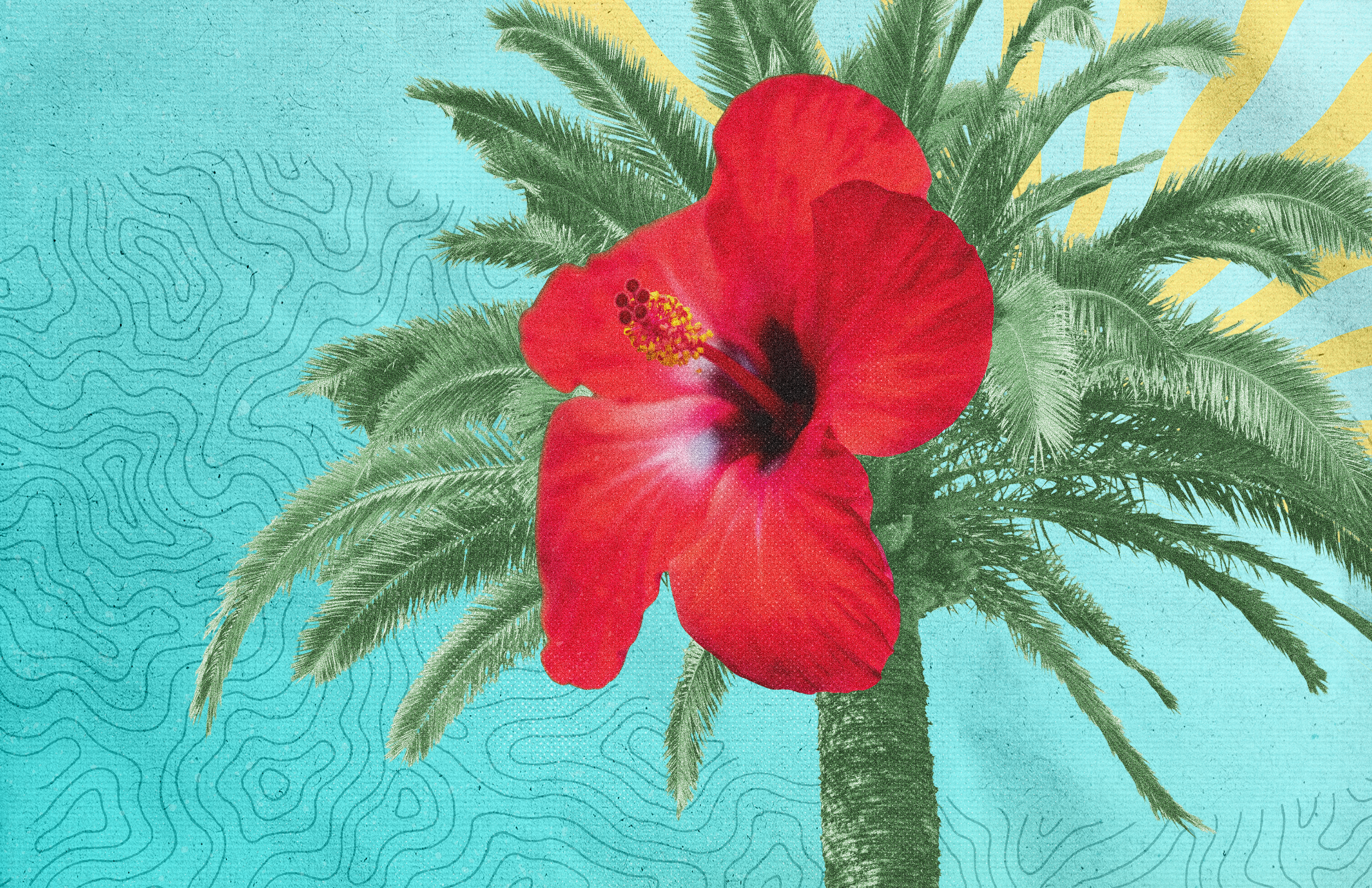 Onceonthisisland Blank