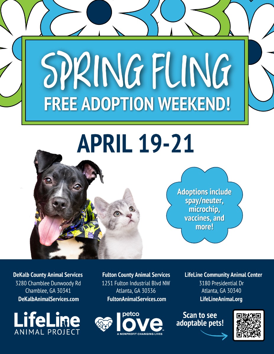 Spring Fling Free Adoptions 2024