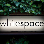 whitespace gallery